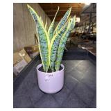 Snake Artificial Potted Plant - Room Essentials
