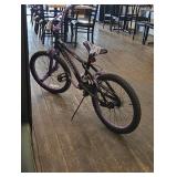 Purple 20 inch bike