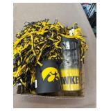 Iowa Hawkeyes Lot