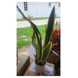 Artificial Snake Plant