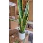 30" Artificial Sansevieria Plant