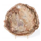 Lot 249 Gorgeous Petrified Wood Slab wStand