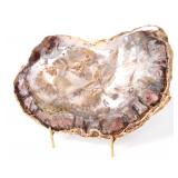 Lot 255 Gorgeous Slice of Petrified Wood
