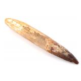 Lot 314 Wonderful Fossilized Spinosaurus Tooth
