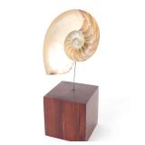 Lot 318 Mounted Nautilus Half Shell