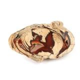 Lot 211 Gorgeous Cut Thunderegg, Agate & Chalcedony