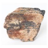 Lot 102 Fossilized Mammoth Tooth Section