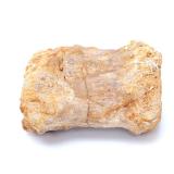Lot 106 Fossilized Dinosaur Bone Section