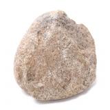 Lot 107 Small Section of Fossilized Dinosaur Bone