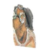 Lot 109 Raw Royston Turquoise Mineral Specimen