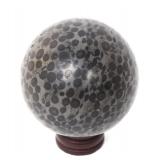 Lot 414 Incredibly Unique Fossilized Dinosaur Bone Sphere