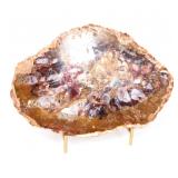 Lot 416 Lovely Natural Petrified Wood Slab wStand