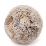 Lot 421 Lovely Polished Dinosaur Sphere