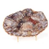 Lot 226 Stunning Petrified Wood Slab with Stand