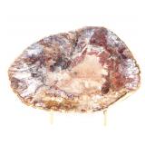 Lot 229 Fantastic Petrified Wood Slab with Stand