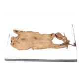 Lot 137 Anasazi Textile Sandal, 500-750CE (Inc. Ref. Book)