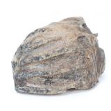 Lot 199 Fossilized Mammoth Molar Section