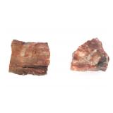 Lot 208 Two Pieces of Red Fossilized Wood