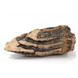 Lot 208 Wonderful Large Mammoth Tooth Section