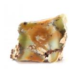 Lot 139 Gorgeous Well Preserved Australian Opal Section