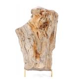 Lot 177 Wonderful Prehistoric Fossilized Petrified Wood