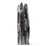 Lot 180 Lovely Orthoceras Fossil Tower