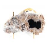 Lot 191 Ancient Petrified Gopher Wood Slab wStand