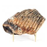 Lot 194 Large Ancient Mammoth Molar on Stand