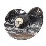 Lot 200 Lovely Carved Ammonite Dish