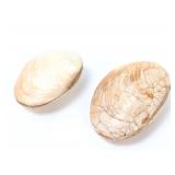 Lot 201 Pair of Ancient Fossilized Clams