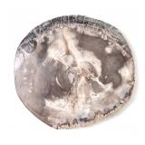 Lot 220 Palecek Petrified Wood Slab