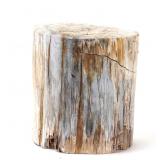 Lot 221 Petrified Wood Stump, 50 lbs