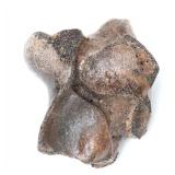 Lot 224 Wonderful Ancient Wooly Mammoth Fossilized Bone Joint