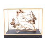 Lot 336 Glass Cased Butterfly Diorama