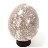 Lot 143 Perfectly Polished Dinosaur Bone wStand
