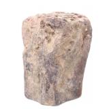 Lot 154 Fossilized Raw Dinosaur Bone Section