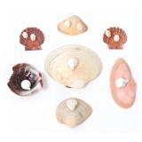 Lot 243 Wonderful Collection of 7 Sea Shells & 10 Pearls