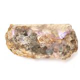 Lot 251 Gorgeous Baculite Fossil with Iridescence