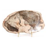 Lot 260 Wonderful Ancient Slab of Petrified Wood wSilica