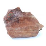 Lot 263 Wonderful Ancient Fossilized Dinosaur Bone