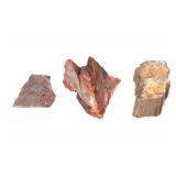 Lot 268 Three Pieces of Petrified Wood
