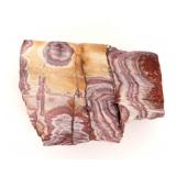 Lot 269 Marbled Section of Petrified Wood