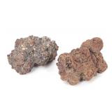 Lot 270 Group of Fossilized Coprolite, Dinosaur Dung