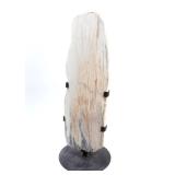 Lot 315 Massive Petrified Wood Slab on Stand