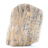 Lot 316 Ancient Petrified Wood Section