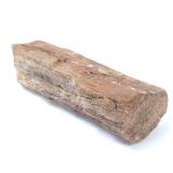 Lot 321 Fine Preserved Section of Petrified Wood