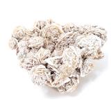 Lot 257 Wonderful Section of Desert Rose Mineral Specimen