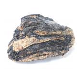 Lot 301 Ancient Woolly Mammoth Tooth