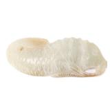 Lot 186 Gorgeous Chinese Nephrite Jade Fish Pendant