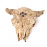 Lot 225 Painted Native American Buffalo Skull